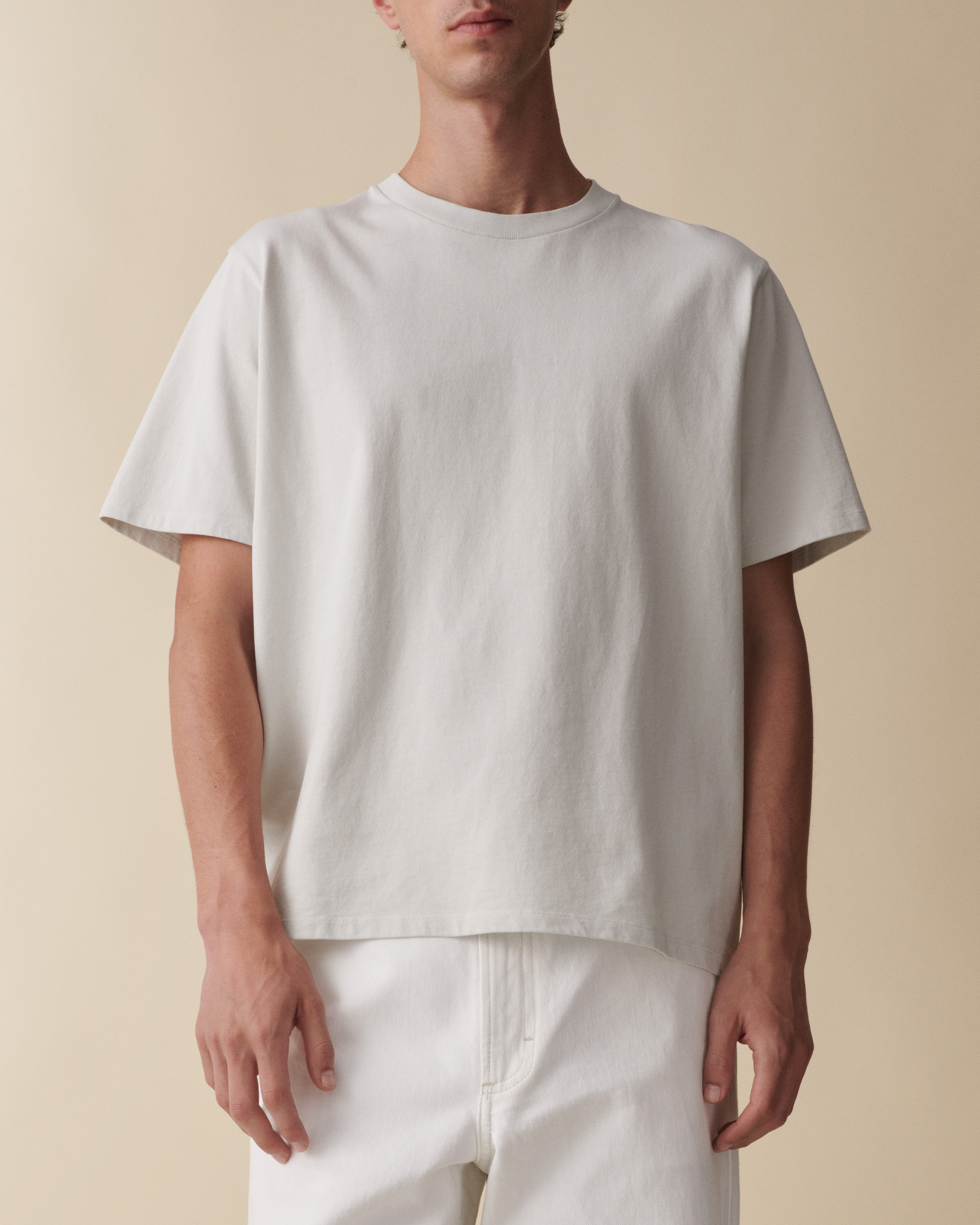 Jeanerica Delon In Grey